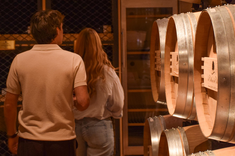 Valpantena: La Collina dei Ciliegi Wine Tasting Experience Collezione Terrena ENG
