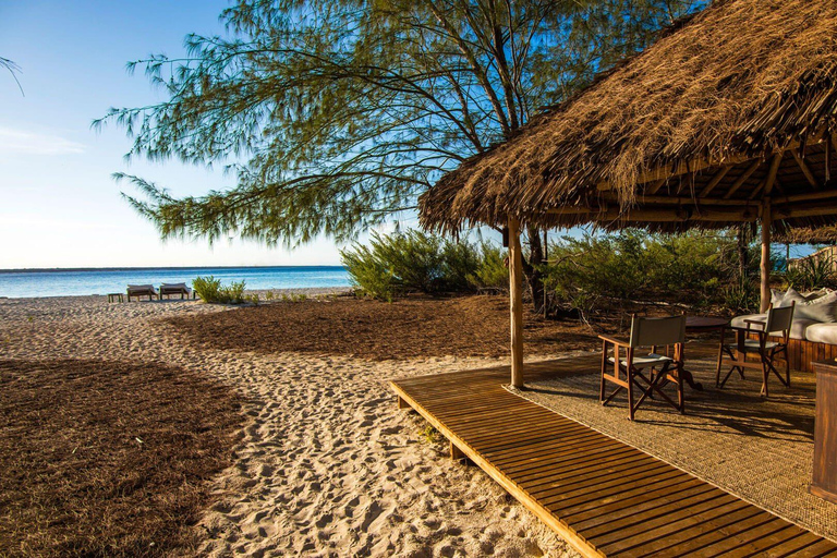 Sansibar: Tagestour zur Insel Mnemba mit Delfinbeobachtung