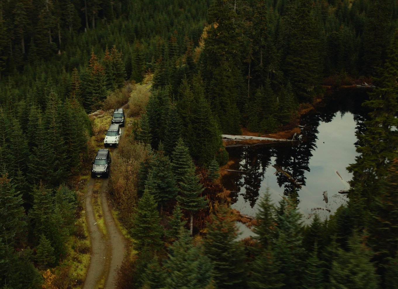 Whistler: Morgen med bjørnene Land Rover naturskøn udflugt