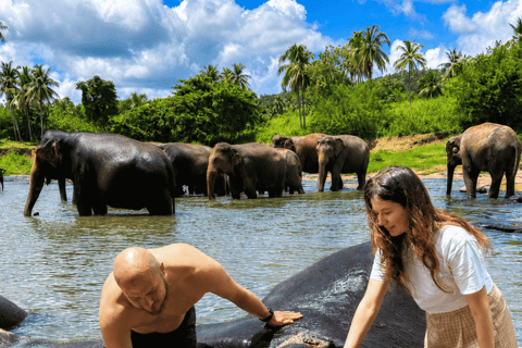 Sigiriya → Anywhere: Private Car Journey with Flexible Stops Private Van with Driver – Up to 100 km (Island-wide)
