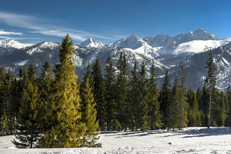 Extreme Snowmobile + Zakopane Tour + Bonfire & Tasting