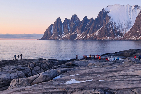 特罗姆瑟：正宗塞尼亚岛一日旅行（含午餐）