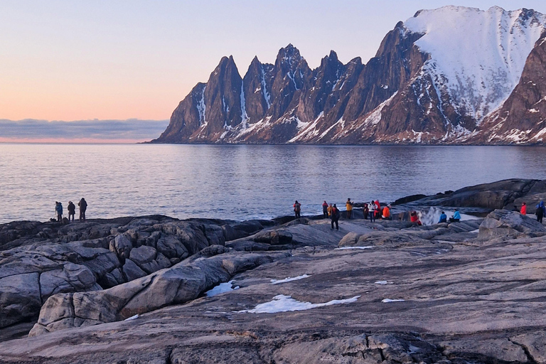 特罗姆瑟：正宗塞尼亚岛一日旅行（含午餐）