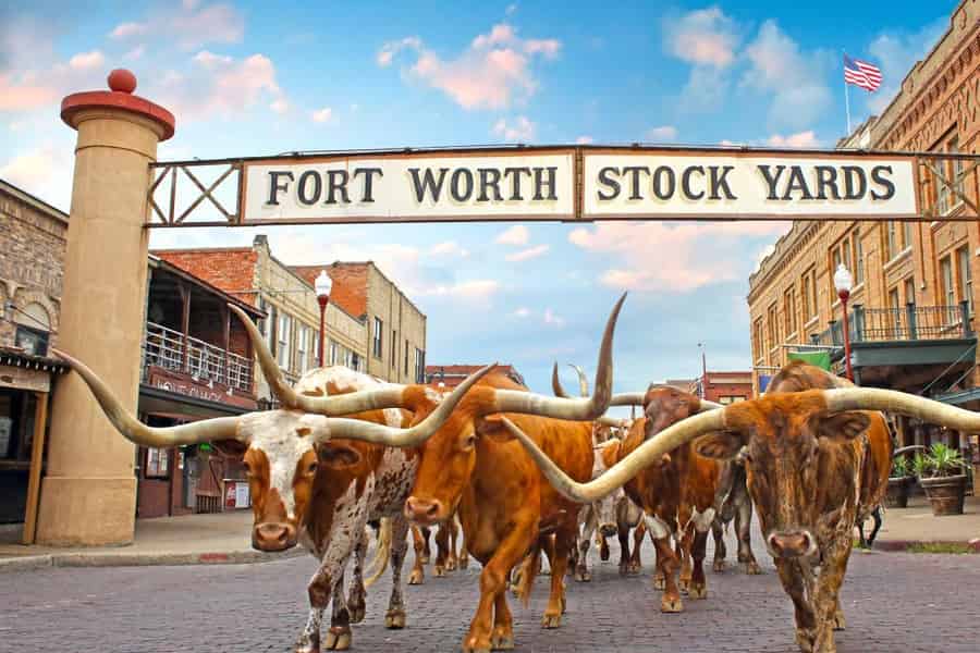Fort Worth: Kulturerbe und Sehenswürdigkeiten – Open-Air-Tour. Foto: GetYourGuide Fort Worth: Kulturerbe und Sehenswürdigkeiten – Open-Air-Tour. Foto: GetYourGuide