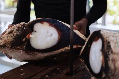 Mahé: Southern Coast Tour with Lunch & Rum Distillery Visit