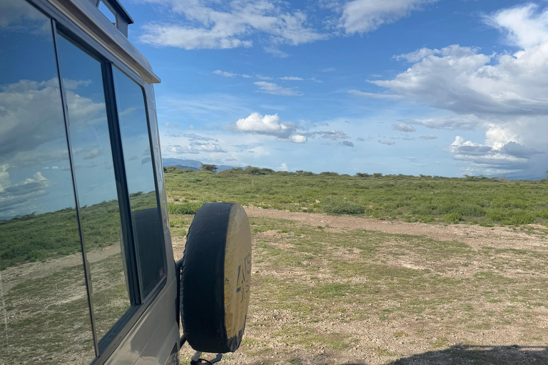 Moshi: Mkomazi National Park Day Trip with Game Drive