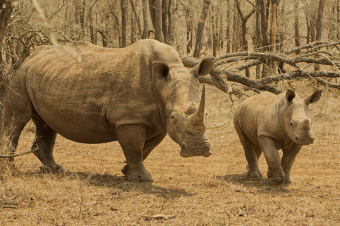 Livingstone: Mosi-oa-Tunya Park, Falls & Sunset Cruise