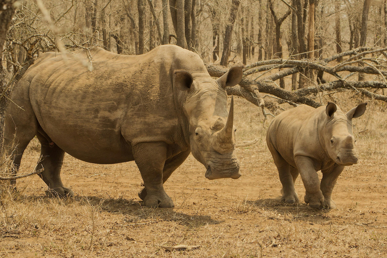 Livingstone: Mosi-oa-Tunya Park, Falls & Sunset Cruise