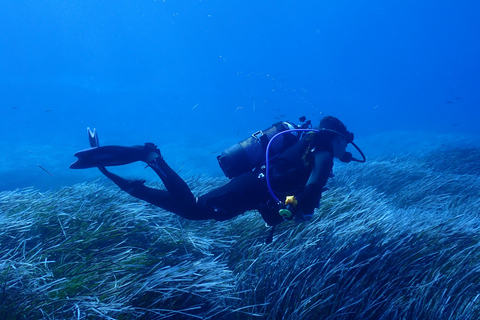 Zakynthos: Small-Group Scuba Diving for All Levels Zakynthos: Discover Scuba Diving Experience with Photos