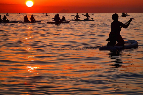 برشلونة: لوح التجديف عند شروق الشمس. تشمل: المعلم، والصور/مقاطع الفيديو، والمواد، والمعدات.