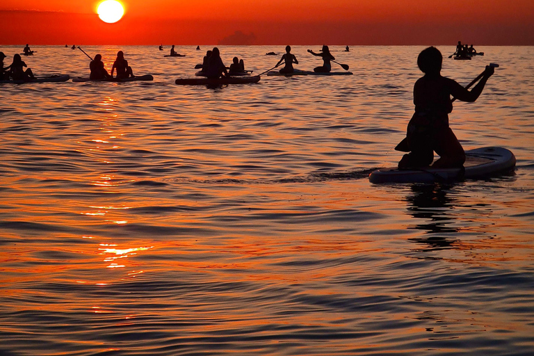 برشلونة: لوح التجديف عند شروق الشمس. تشمل: المعلم، والصور/مقاطع الفيديو، والمواد، والمعدات.