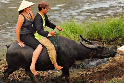 Hoi An Wet Rice Farming Tour-Mandenboottocht-Vissen-Lunch