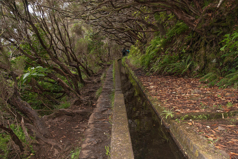 Madeira: Levada Paradise Valley Scenic Walk Pickup Machico, Santa Cruz