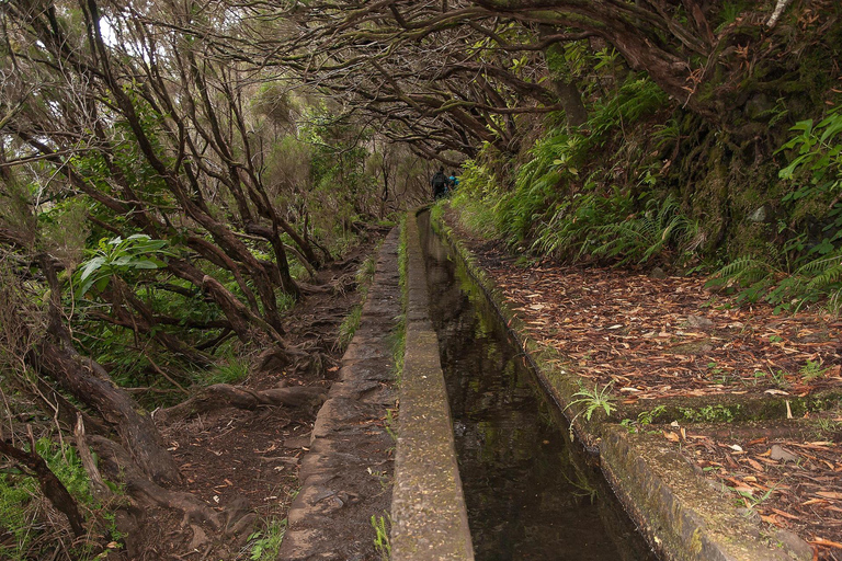 Madeira: Levada Paradise Valley Scenic Walk Pickup Machico, Santa Cruz