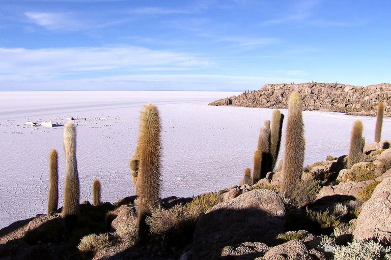 Från Puno: 3-dagars La Paz &amp; Uyuni Salt Flat Adventure