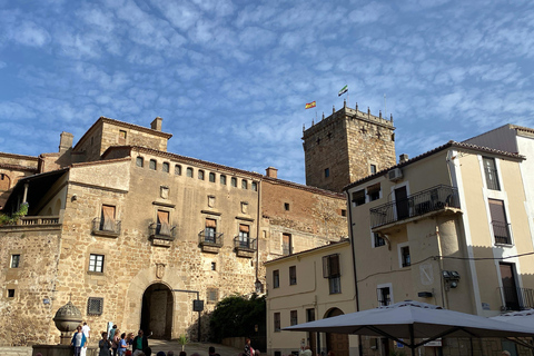 Tour privato guidato di Plasencia