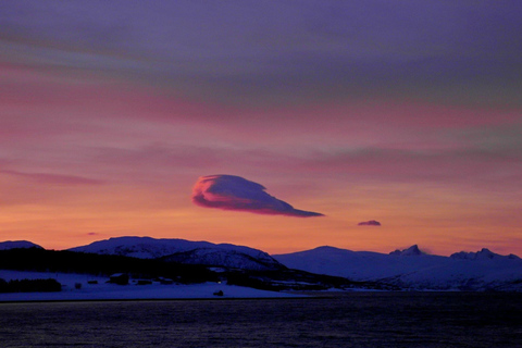 Tromsø: Summer Evening Cruise with Activities