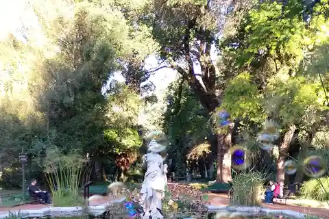 The Sculptures of the Botanical Garden & Mate Tea Tasting