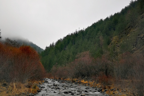 Z Belgradu: pociąg Mokra Gora Sargan 8, Mecavnik i Zlatibor