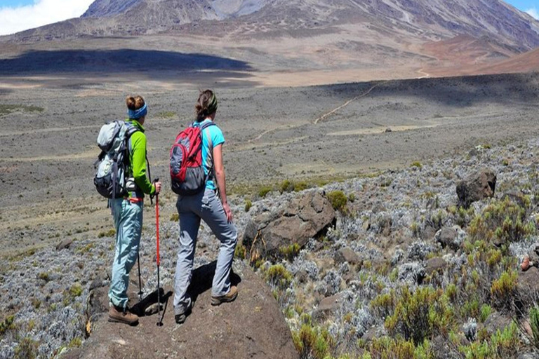 6 Days Mount Kenya Climbing through Chogoria Route