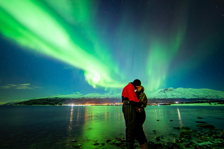 Tromsø: Northern Lights Bus Tour