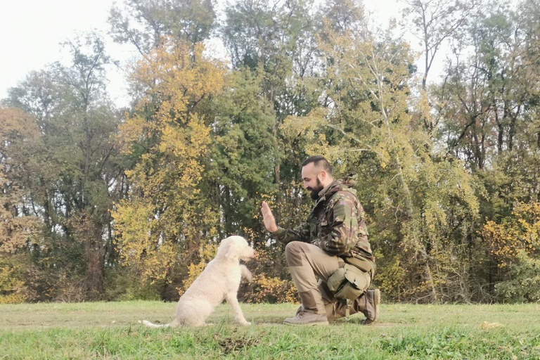 Belgrade: Truffle Hunting Tour With Dogs, Lunch & Wine