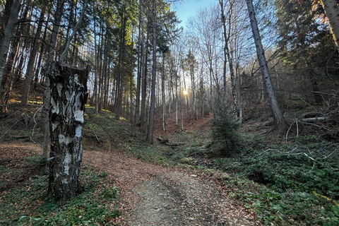 Small Group: Sofia to Kyustendil Fortress & Sequoia Park