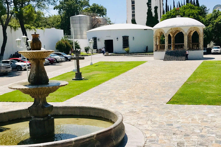 Rondleiding &quot;Parras de la Fuente&quot;, met gids, transfer en tickets