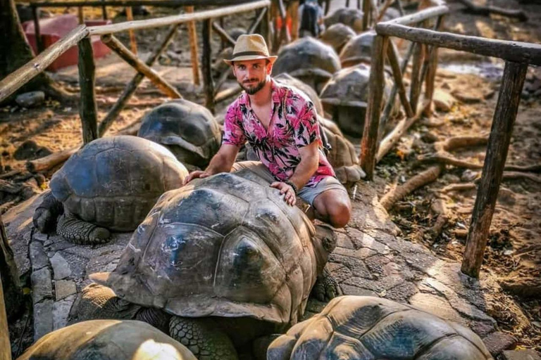 Zanzibar: Prison Island Tour with Giant Tortoises &Boat Ride Stone Town Pick-up, Prison Island Tax $22 Not Included