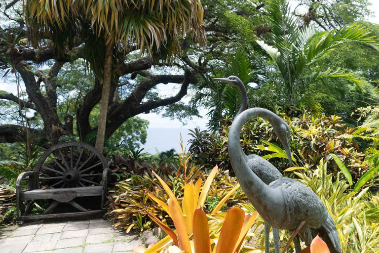 Tour de medio día por las plantaciones de Basseterre