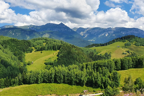 From Bucharest: Peles Castle, Bran Castle & Brașov Day Trip