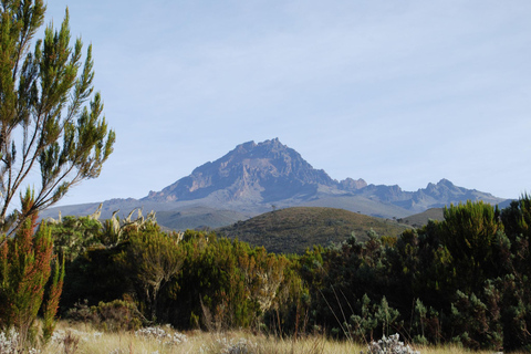 Mount Kilimanjaro een dagwandeling naar het basiskamp voor een kleine groep