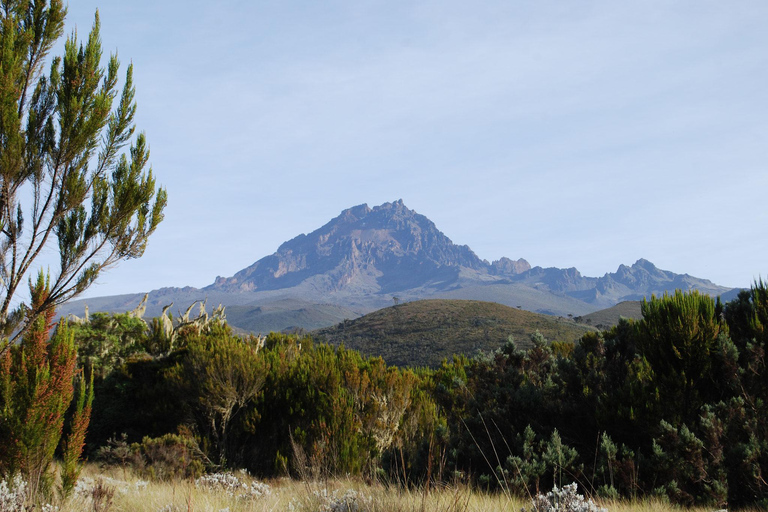 Mount Kilimanjaro one day hike to base camp for small group