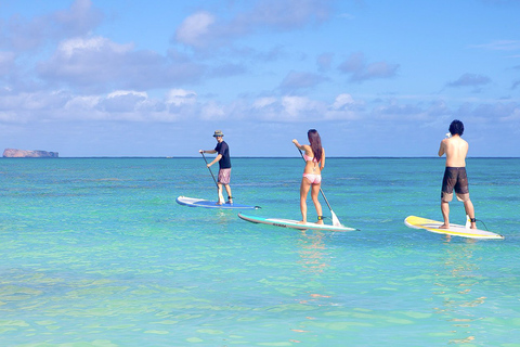 Oahu: lezione di stand up paddle a KailuaKailua: lezione di SUP di 2,5 ore