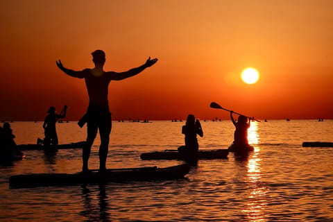 Barcelona: Paddleboarding at Sunrise Incl.: instructor, equipment, photos, and coffee