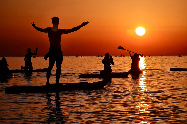برشلونة: لوح التجديف عند شروق الشمس. تشمل: المعلم، والصور/مقاطع الفيديو، والمواد، والمعدات.