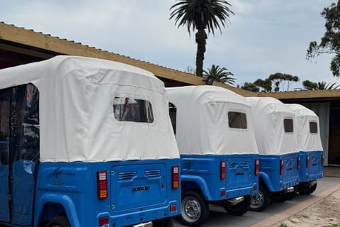 Cape Town: Langa Township Guided Tuk-Tuk Tour with Food