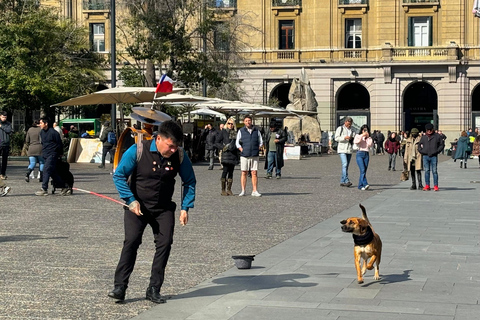 Discover Santiago Half Day Guided Tour Included Local Snack