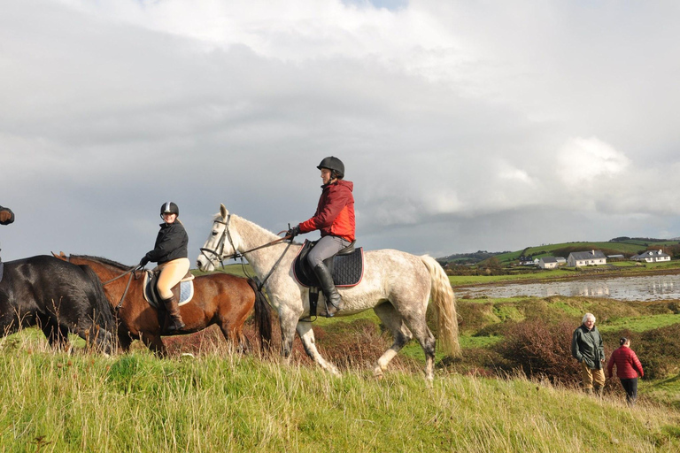 Westport: Begeleide paardrijtocht langs strand en platteland