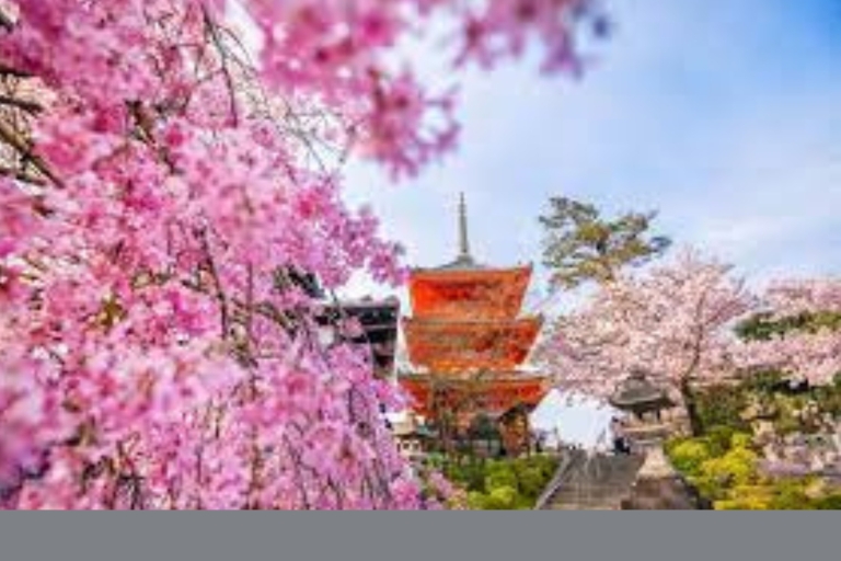 3-dniowa prywatna wycieczka Osaka Kioto i Nara z angielskim kierowcą