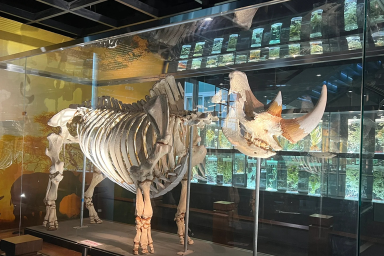 Guangzhou: Traditional Chinese Medicine Museum Admission