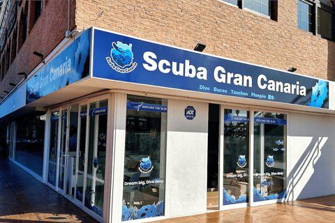 Aucune expérience requise - Découvrez la plongée avec prise en chargeAucune expérience requise - Découvrez la plongée sous-marine avec prise en charge