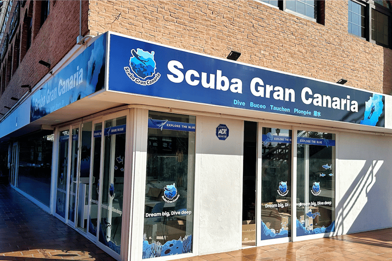 Aucune expérience requise - Découvrez la plongée avec prise en chargeAucune expérience requise - Découvrez la plongée sous-marine avec prise en charge