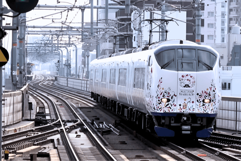 Billete de ida Kansai-Airport Express HARUKAHARUKA TICKETS Aeropuerto de Kansai → Osaka・Shin-Osaka Sólo ida