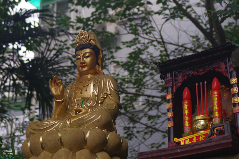 Mini-wycieczka po Hangzhou: tradycyjna medycyna chińska, widoki na wzgórza i targMini-wycieczka po Hangzhou: tradycyjna medycyna chińska, widoki na wzgórza i targowisko