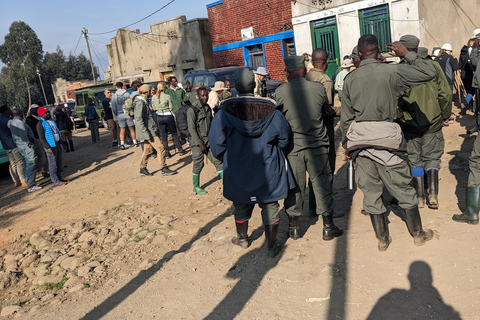 Kigali : Trekking au singe doré et transfert vers les Volcans ...