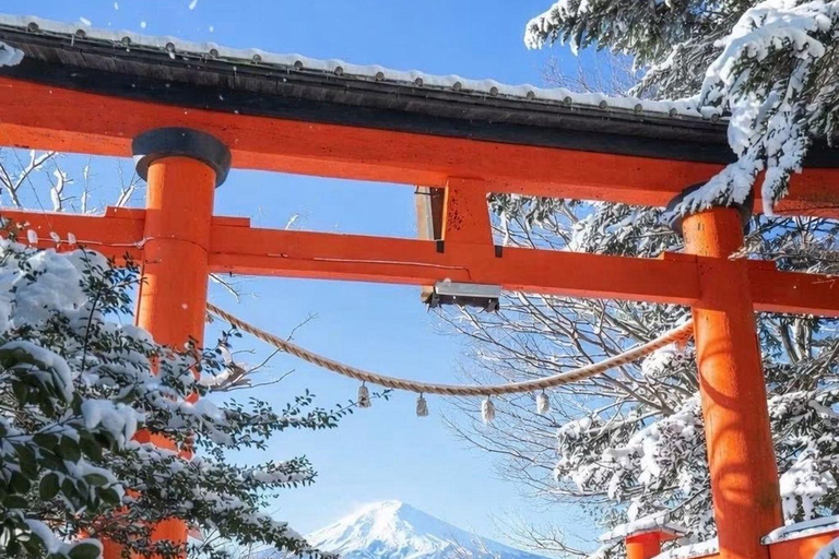 Tokyo: Mount Fuji & Pagoda & Oshino Hakkai & Lake Kawaguchi Route B : Mount Fuji & Hakone Private Customizable Day Trip