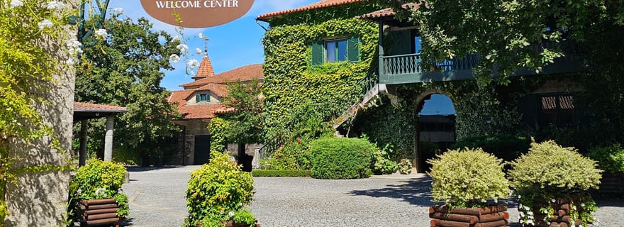 Visite privée avec sommelier (Verde e Douro) : 3 vignobles et déjeuner