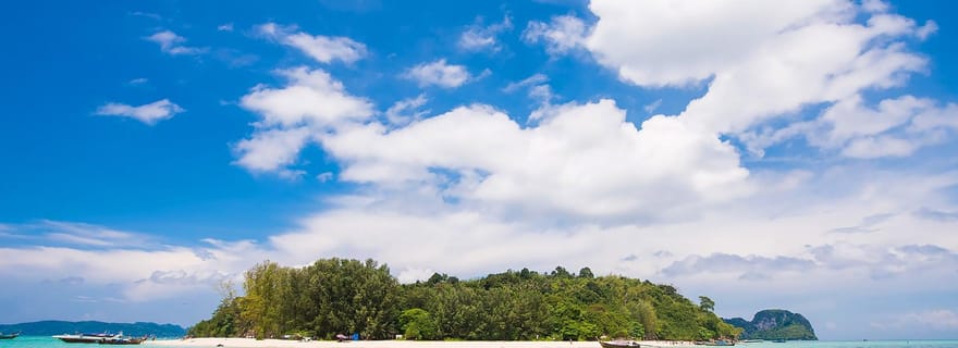 Phi Phi : 6Hrs Bamboo & Phi Phi Tour By Private Longtail Boat (en anglais)