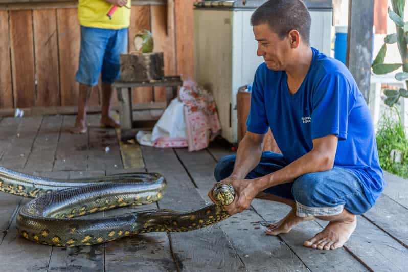 Iquitos | Amazon Tour | 4 Days inside the Rainforest Jungle | GetYourGuide